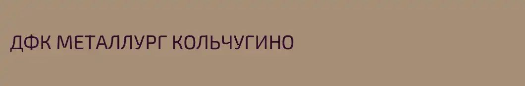 ДФК МЕТАЛЛУРГ КОЛЬЧУГИНО